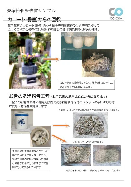 洗浄粉骨報告書サンプル