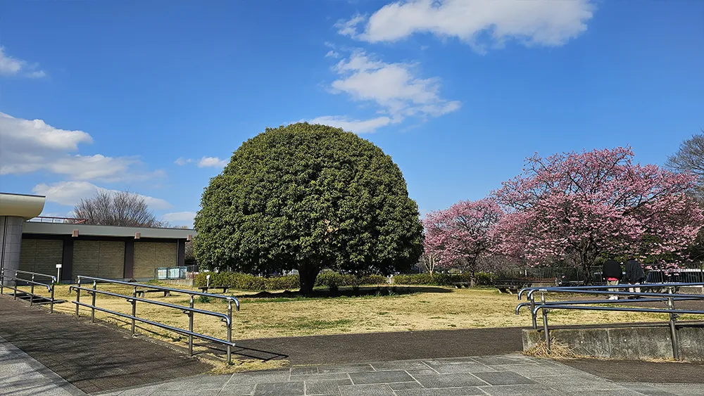 緑ヶ丘霊園イメージ3
